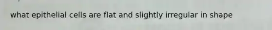 what epithelial cells are flat and slightly irregular in shape
