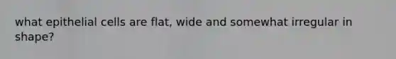 what epithelial cells are flat, wide and somewhat irregular in shape?