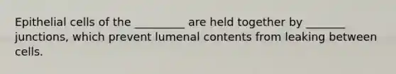 Epithelial cells of the _________ are held together by _______ junctions, which prevent lumenal contents from leaking between cells.