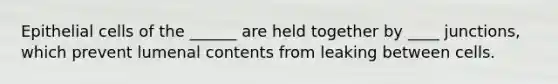 Epithelial cells of the ______ are held together by ____ junctions, which prevent lumenal contents from leaking between cells.