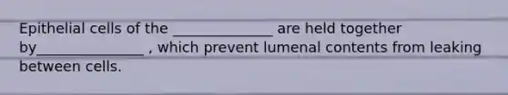 Epithelial cells of the ______________ are held together by_______________ , which prevent lumenal contents from leaking between cells.