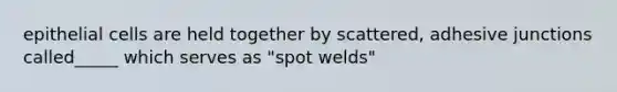 epithelial cells are held together by scattered, adhesive junctions called_____ which serves as "spot welds"