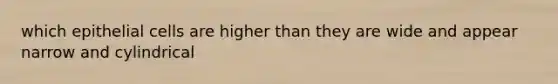 which epithelial cells are higher than they are wide and appear narrow and cylindrical