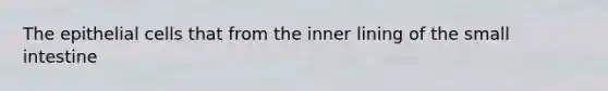 The epithelial cells that from the inner lining of <a href='https://www.questionai.com/knowledge/kt623fh5xn-the-small-intestine' class='anchor-knowledge'>the small intestine</a>