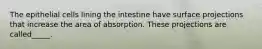 The epithelial cells lining the intestine have surface projections that increase the area of absorption. These projections are called_____.