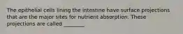 The epithelial cells lining the intestine have surface projections that are the major sites for nutrient absorption. These projections are called ________