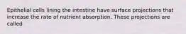 Epithelial cells lining the intestine have surface projections that increase the rate of nutrient absorption. These projections are called