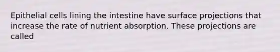 Epithelial cells lining the intestine have surface projections that increase the rate of nutrient absorption. These projections are called