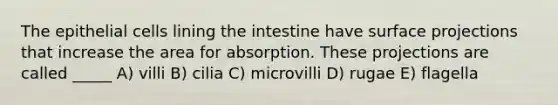 The epithelial cells lining the intestine have surface projections that increase the area for absorption. These projections are called _____ A) villi B) cilia C) microvilli D) rugae E) flagella