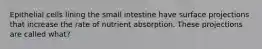 Epithelial cells lining the small intestine have surface projections that increase the rate of nutrient absorption. These projections are called what?