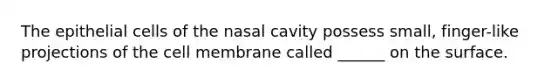 The epithelial cells of the nasal cavity possess small, finger-like projections of the cell membrane called ______ on the surface.