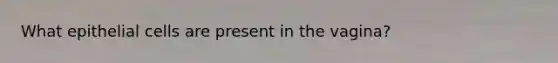 What epithelial cells are present in the vagina?
