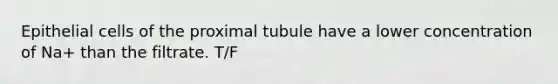 Epithelial cells of the proximal tubule have a lower concentration of Na+ than the filtrate. T/F