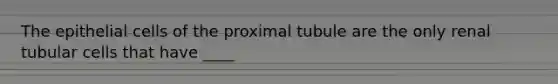 The epithelial cells of the proximal tubule are the only renal tubular cells that have ____