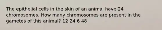 The epithelial cells in the skin of an animal have 24 chromosomes. How many chromosomes are present in the gametes of this animal? 12 24 6 48