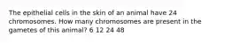 The epithelial cells in the skin of an animal have 24 chromosomes. How many chromosomes are present in the gametes of this animal? 6 12 24 48