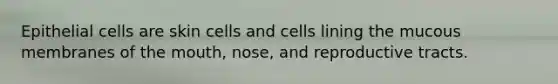 Epithelial cells are skin cells and cells lining the mucous membranes of the mouth, nose, and reproductive tracts.