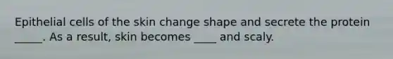 Epithelial cells of the skin change shape and secrete the protein _____. As a result, skin becomes ____ and scaly.