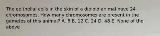 The epithelial cells in the skin of a diploid animal have 24 chromosomes. How many chromosomes are present in the gametes of this animal? A. 6 B. 12 C. 24 D. 48 E. None of the above