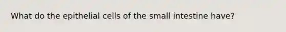 What do the epithelial cells of the small intestine have?