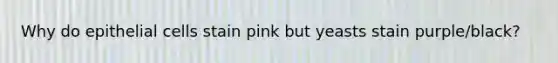 Why do epithelial cells stain pink but yeasts stain purple/black?