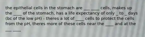 the epithelial cells in the stomach are ___ ____ cells, makes up the ____ of the stomach, has a life expectancy of only _ to _ days (bc of the low pH) - theres a lot of ____ cells to protect the cells from the pH, theres more of these cells near the ____ and at the ___ ____