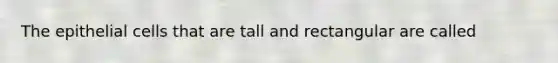 The epithelial cells that are tall and rectangular are called