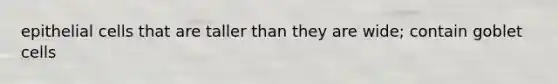 epithelial cells that are taller than they are wide; contain goblet cells