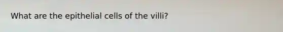 What are the epithelial cells of the villi?