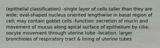 (epithelial classification) -single layer of cells taller than they are wide; oval-shaped nucleus oriented lengthwise in basal region of cell; may contain goblet cells -function: secretion of mucin and movement of mucus along apical surface of epithelium by cilia: oocyte movement through uterine tube -location: larger bronchioles of respiratory tract & lining of uterine tubes