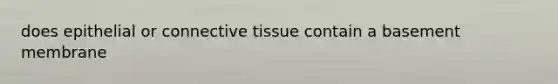 does epithelial or connective tissue contain a basement membrane