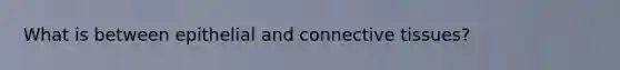 What is between epithelial and connective tissues?