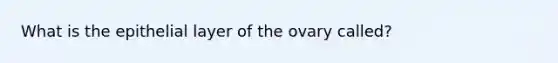 What is the epithelial layer of the ovary called?