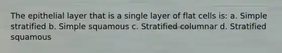 The epithelial layer that is a single layer of flat cells is: a. Simple stratified b. Simple squamous c. Stratified columnar d. Stratified squamous