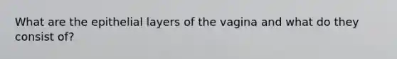 What are the epithelial layers of the vagina and what do they consist of?