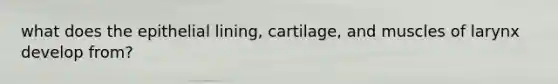 what does the epithelial lining, cartilage, and muscles of larynx develop from?