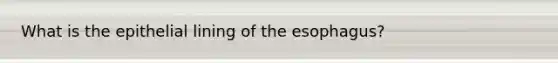 What is the epithelial lining of the esophagus?