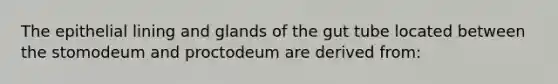 The epithelial lining and glands of the gut tube located between the stomodeum and proctodeum are derived from: