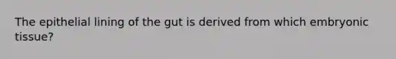 The epithelial lining of the gut is derived from which embryonic tissue?