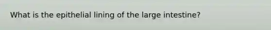 What is the epithelial lining of the large intestine?