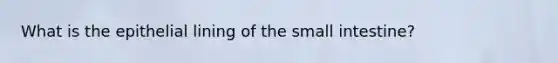 What is the epithelial lining of the small intestine?