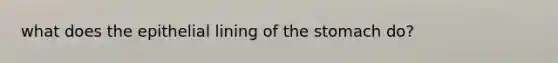 what does the epithelial lining of the stomach do?