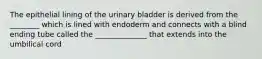 The epithelial lining of the urinary bladder is derived from the ________ which is lined with endoderm and connects with a blind ending tube called the ______________ that extends into the umbilical cord