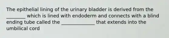 The epithelial lining of the urinary bladder is derived from the ________ which is lined with endoderm and connects with a blind ending tube called the ______________ that extends into the umbilical cord