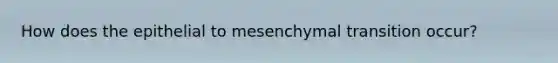 How does the epithelial to mesenchymal transition occur?