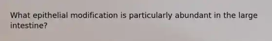 What epithelial modification is particularly abundant in the large intestine?
