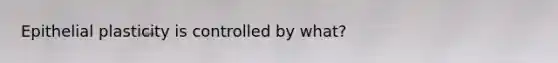 Epithelial plasticity is controlled by what?