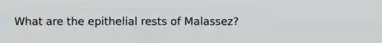 What are the epithelial rests of Malassez?