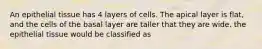 An epithelial tissue has 4 layers of cells. The apical layer is flat, and the cells of the basal layer are taller that they are wide. the epithelial tissue would be classified as