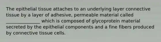 The epithelial tissue attaches to an underlying layer connective tissue by a layer of adhesive, permeable material called _______________ which is composed of glycoprotein material secreted by the epithelial components and a fine fibers produced by connective tissue cells.